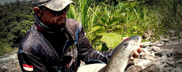 La pesca de Bobo en Ríos de Costa Rica