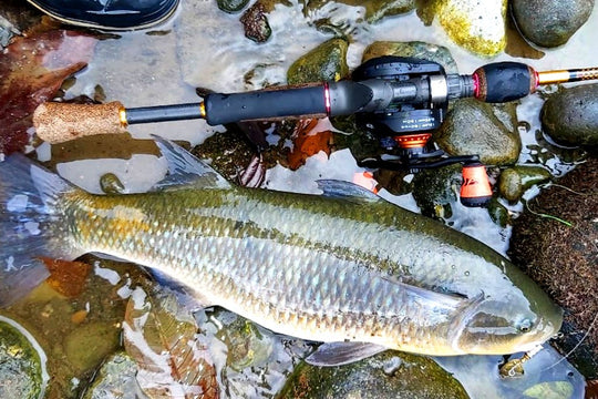 Carrete KastKing Speed Demon Pro - Saltwater Casting Reel