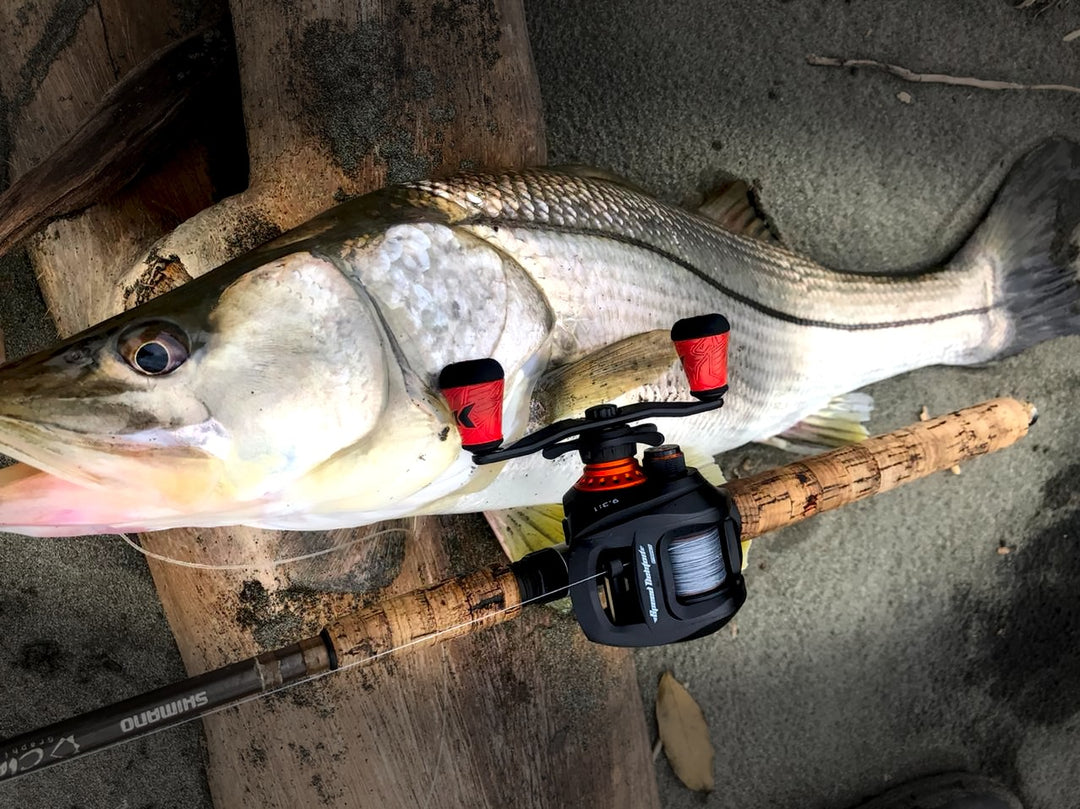 Carrete KastKing Speed Demon Pro - Saltwater Casting Reel