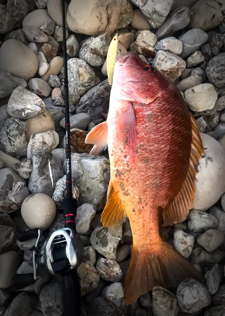 Señuelo Daiwa Salt Pro Minnow Floating 13cm y 15cm