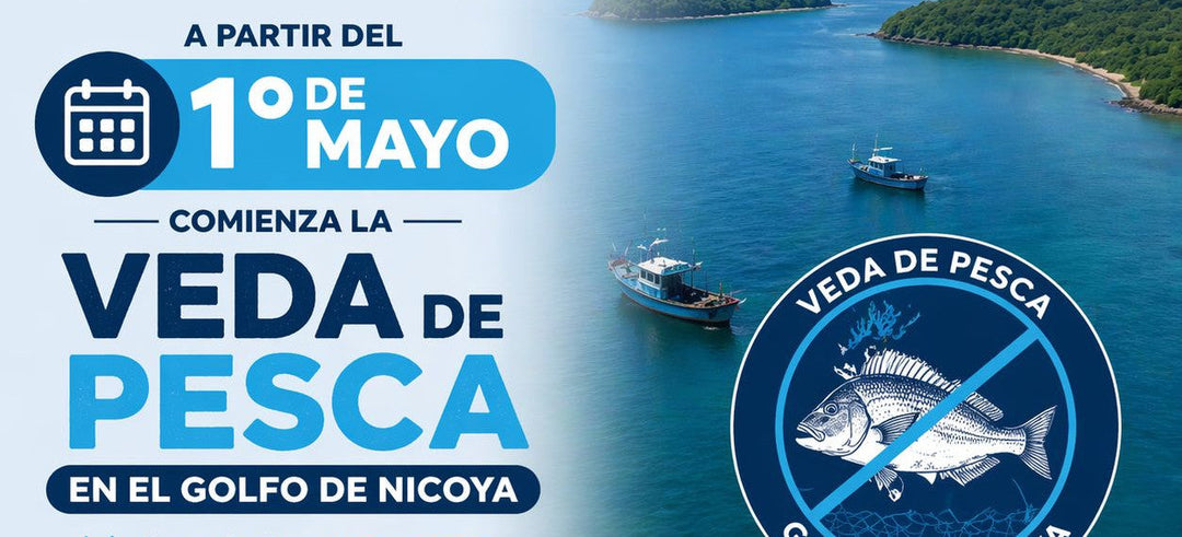 Inicia la veda de pesca en el Golfo de Nicoya para el año 2026
