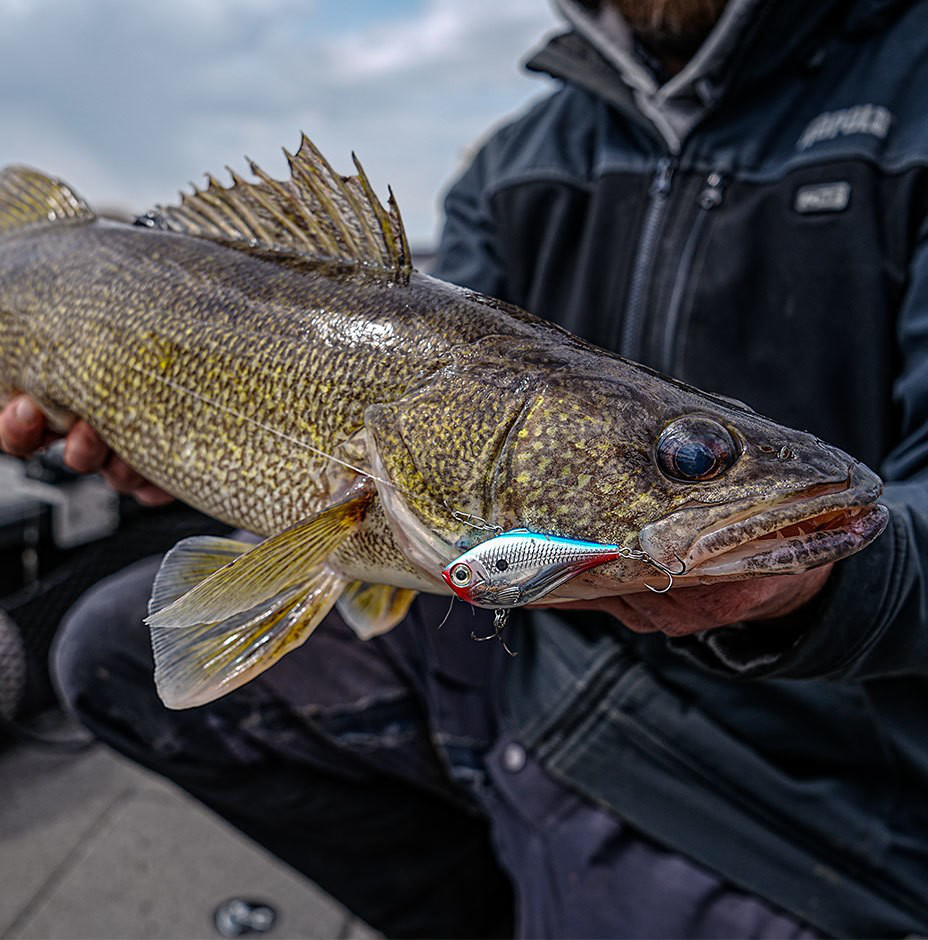 Señuelo Rapala Rippin' Rap Cajeta en 5cm, 6cm y 7cm - Hundimiento