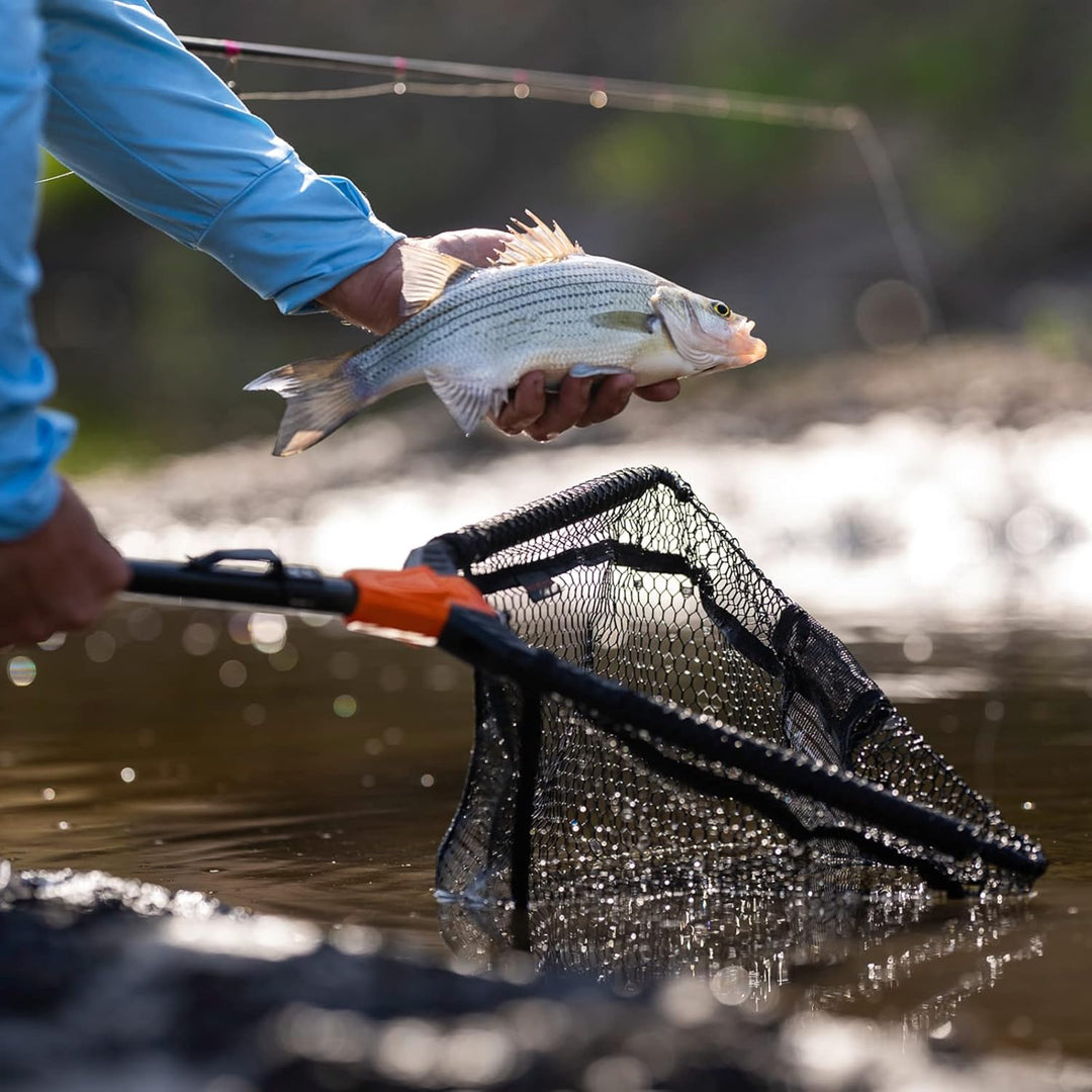Red de Pesca KastKing Pontus Plegable y Extendible en Aluminio