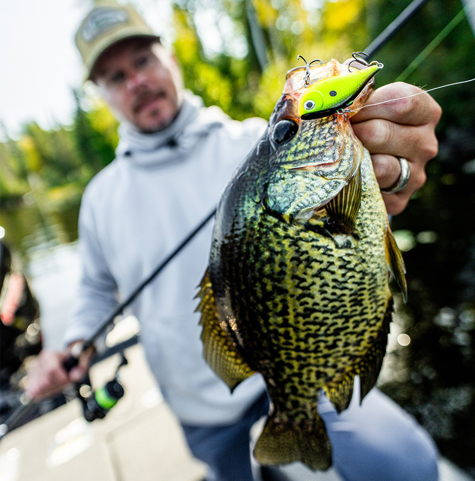 Señuelo Rapala Rippin' Rap Cajeta en 5cm, 6cm y 7cm - Hundimiento