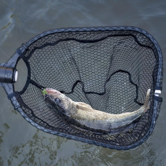Red de Pesca KastKing Brutus Plegable y Extendible en Aluminio