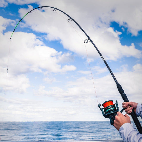 Caña de Pescar KastKing Kong para Spinning en 7, 8 y 10 pies