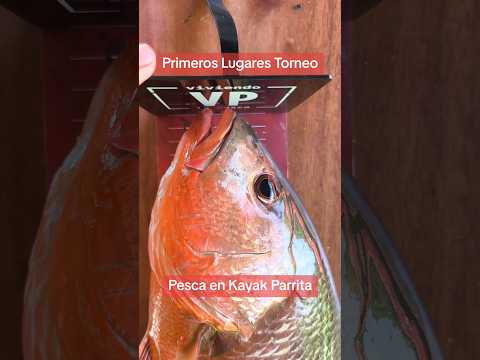 Cinta VP Fish Ruler para Medición de Peces hasta 160cm
