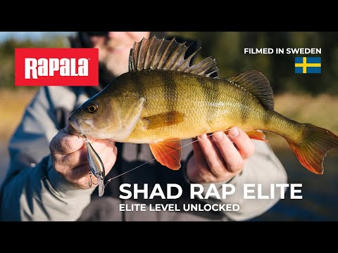 Señuelo Rapala Shad Rap Elite para Casting y Trolling - 5.5cm y 7.5cm