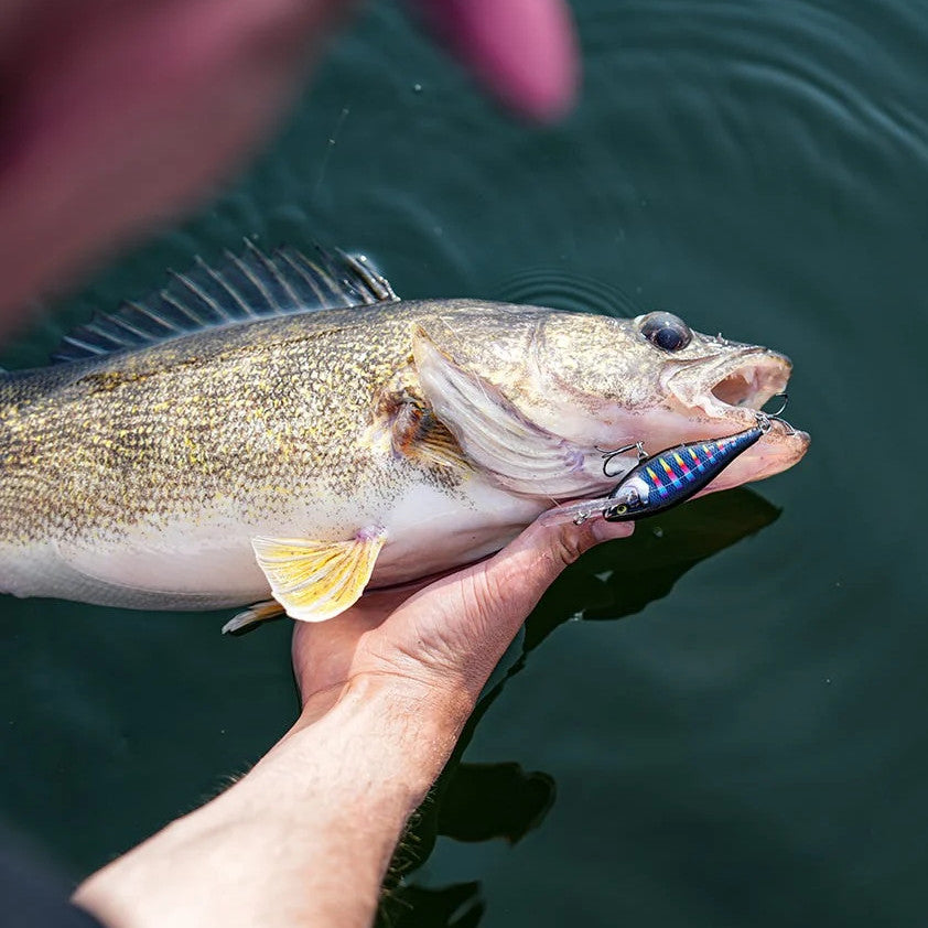 Señuelo Rapala Shad Rap Elite para Casting y Trolling - 5.5cm y 7.5cm