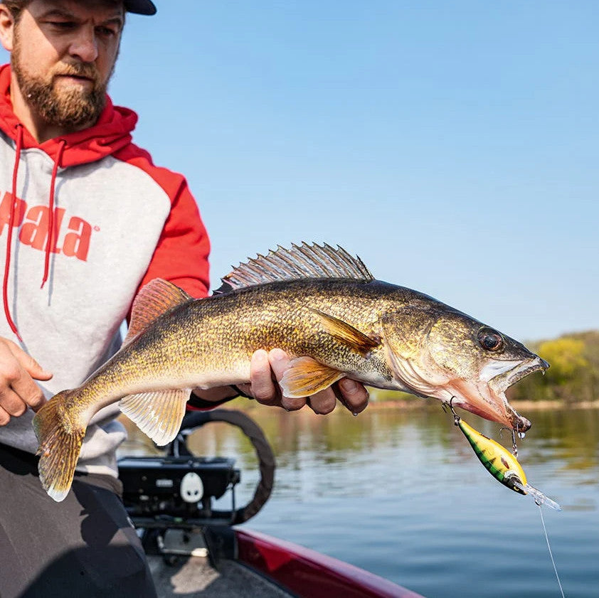 Señuelo Rapala Shad Rap Elite para Casting y Trolling - 5.5cm y 7.5cm