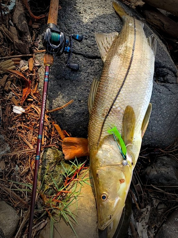 Carrete KastKing Crixus para Baitcasting - Dark Star 7.2:1