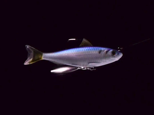 Señuelo LiveTarget Spanish Sardine Swimbait - 11cm y 14cm