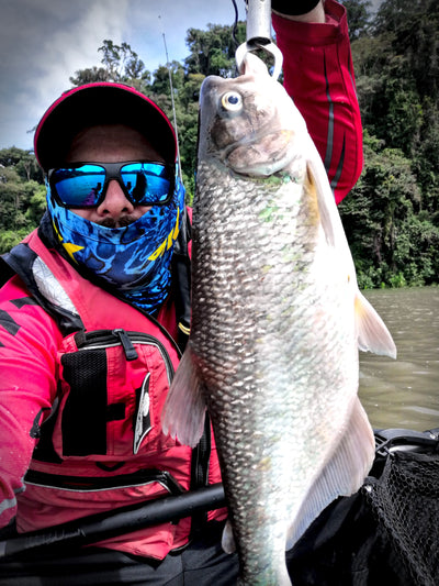 Señuelo Noeby Crankbait 45mm/8g con triples VMC