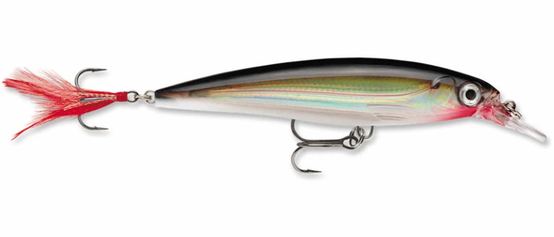 Señuelo Rapala X-Rap Jerkbait Suspending 8cm/7g con Cola