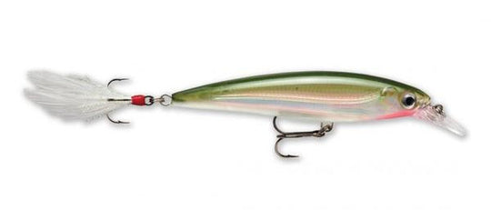 Señuelo Rapala X-Rap Jerkbait Suspending 8cm/7g con Cola