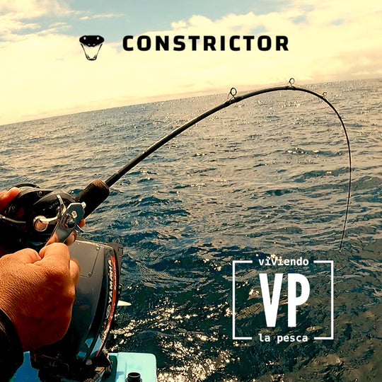 Caña VP Constrictor para Jigging en Baitcasting - 12KG Max Drag