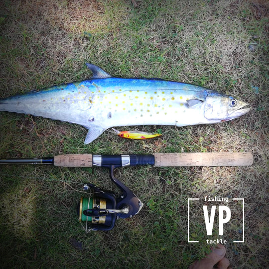 Señuelo VP Lucid Minnow Shallow 11cm/13.5g - 13 colores